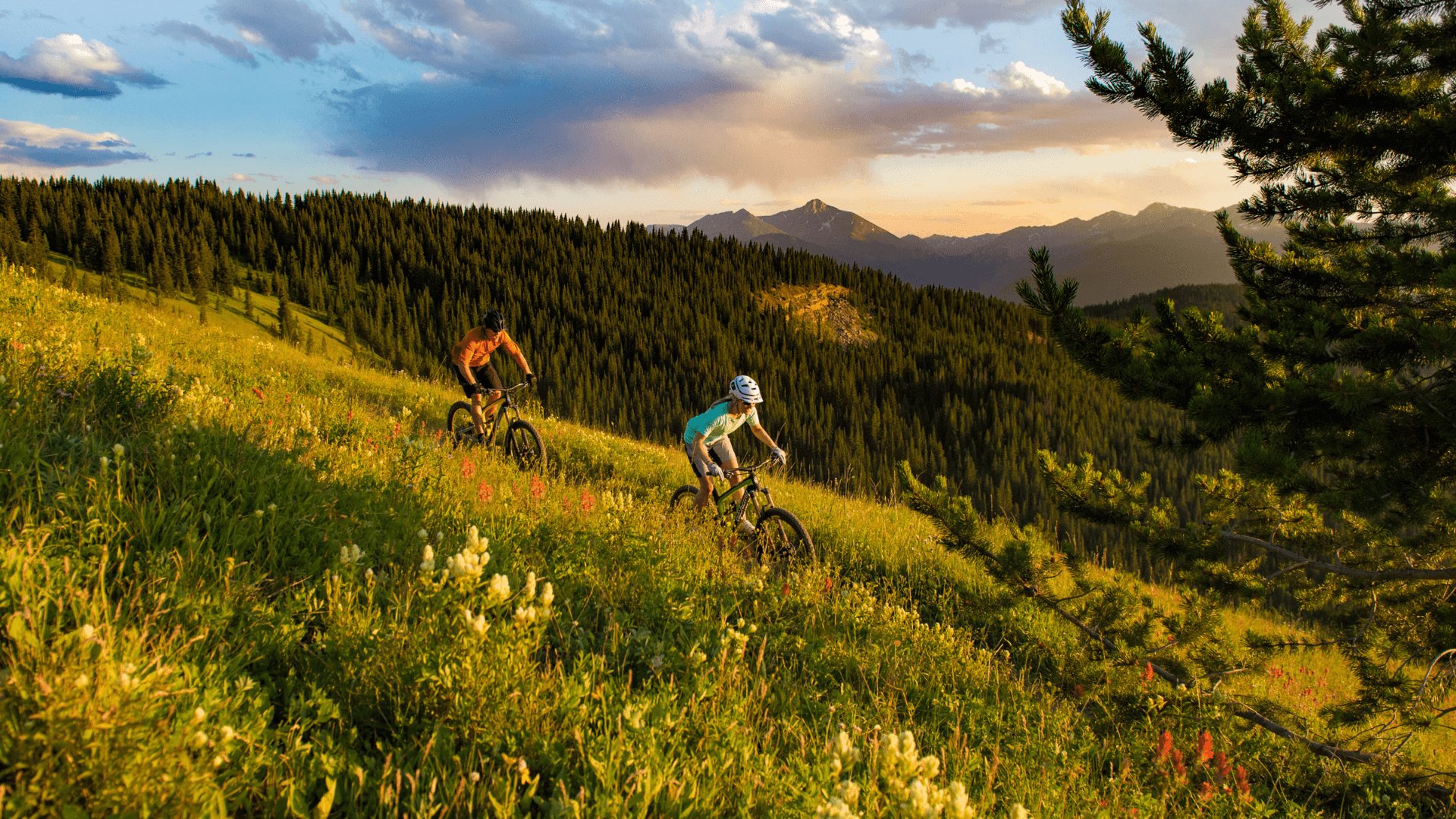 Two mountain bikers riding through a wildflower meadow above the Vail Valley at sunset