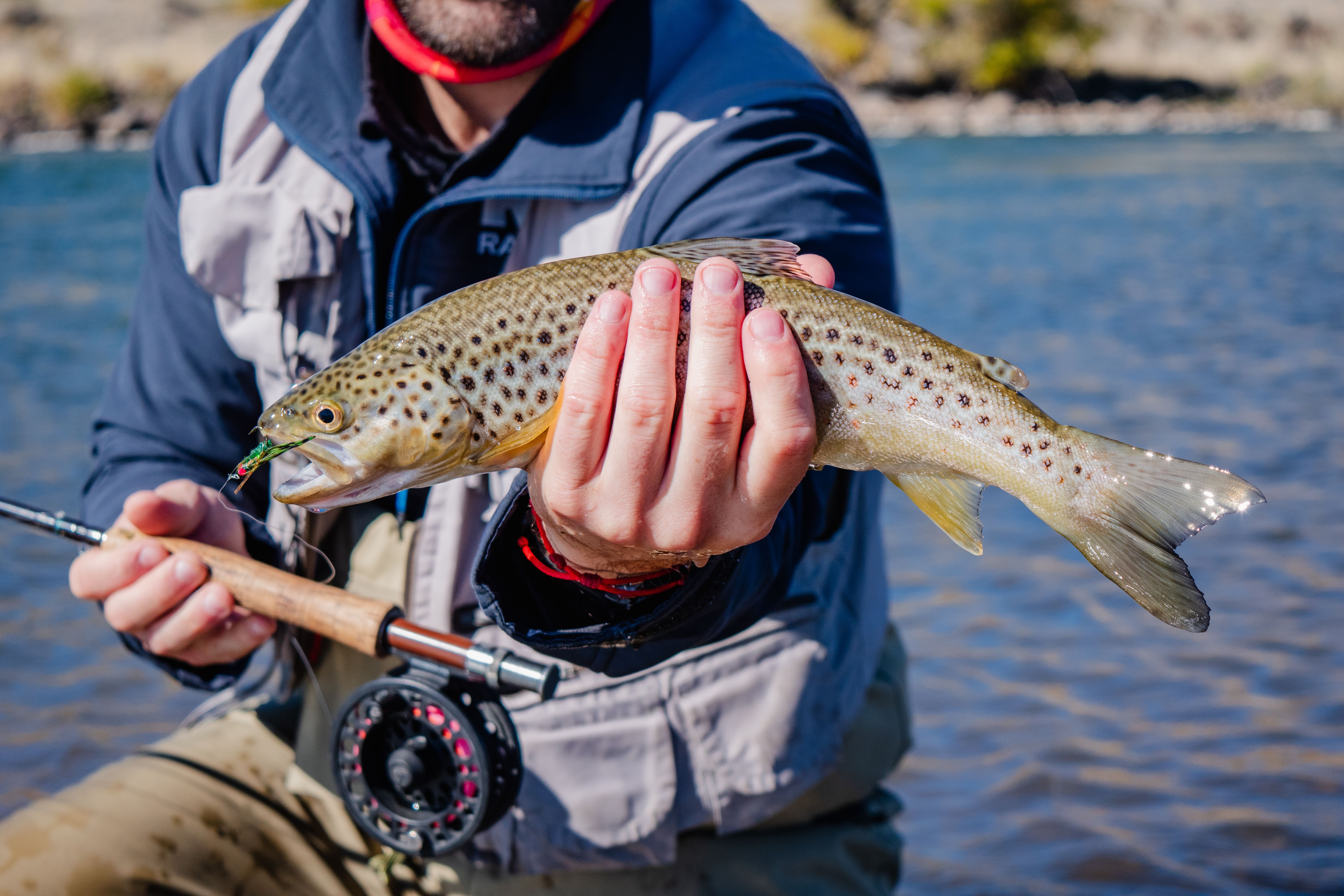 Things To Do Fly Fishing